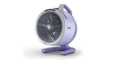 Shoppers rave over price drop ‘game-changer’ fan that sends out a cooling mist