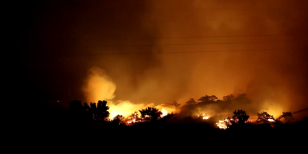 Mass evacuations in Crete as wildfire tears through popular holiday destination