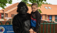 Dad slams ‘woke’ primary school for telling him he can’t dress up as a gorilla