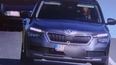 Car owner fined after dog pictured ‘driving car’