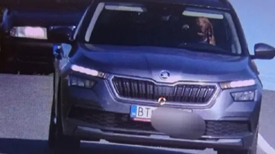 Car owner fined after dog pictured ‘driving car’